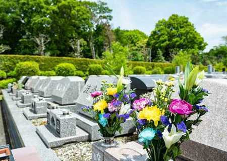 整えられた墓石と色とりどりの供花が並ぶお墓の風景